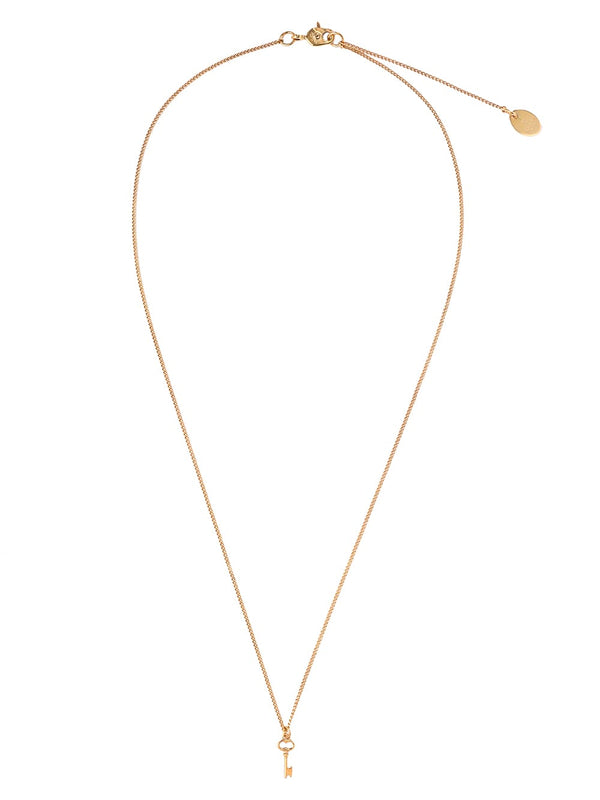 tiny key neck lace.