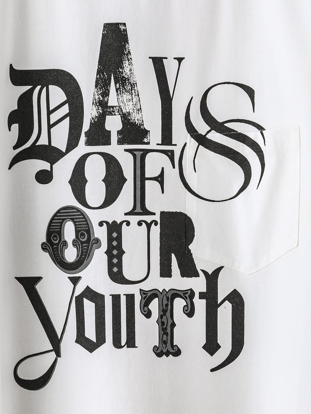 ショートスリーブTシャツ(days of our youth grey)