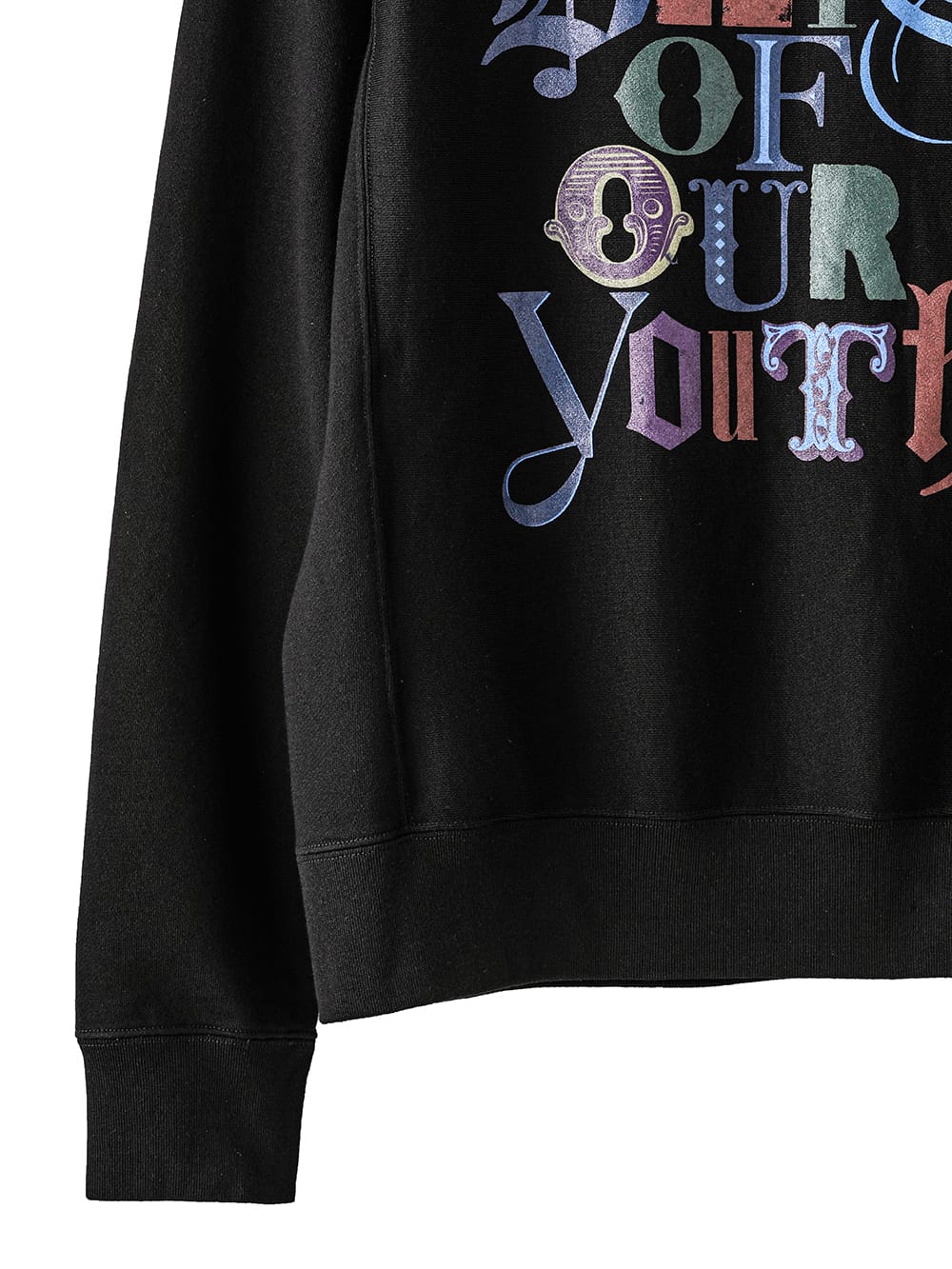 crew neck sweatshirt(days of our youth color)