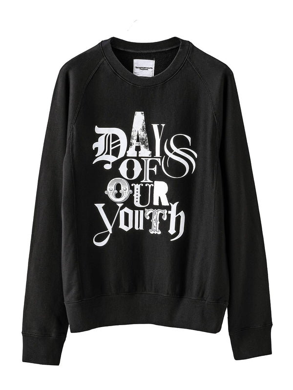 crew neck sweatshirt (days of our youth gray)