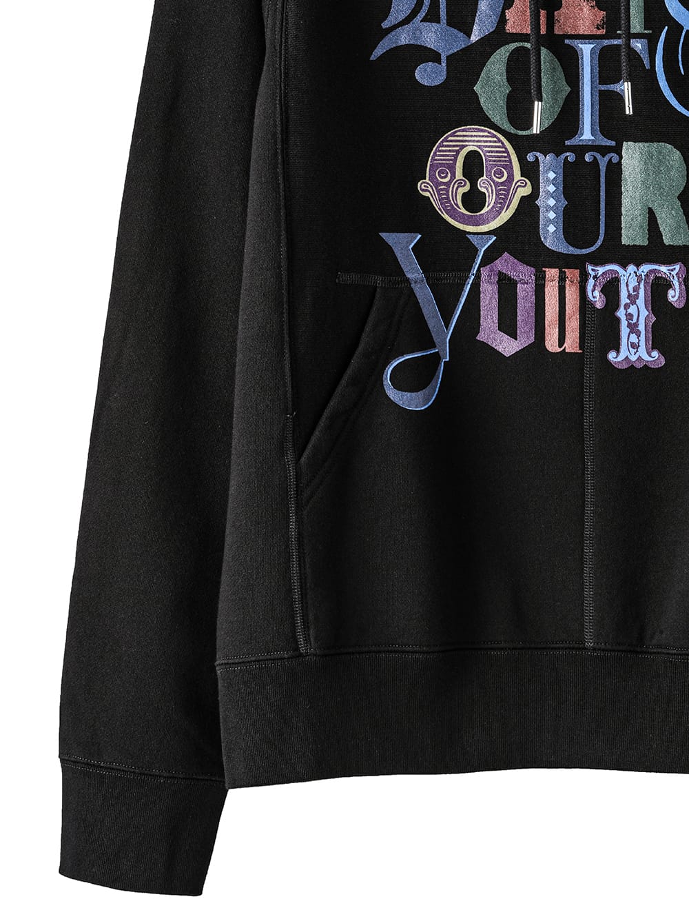 Hoodie(days of our youth color)