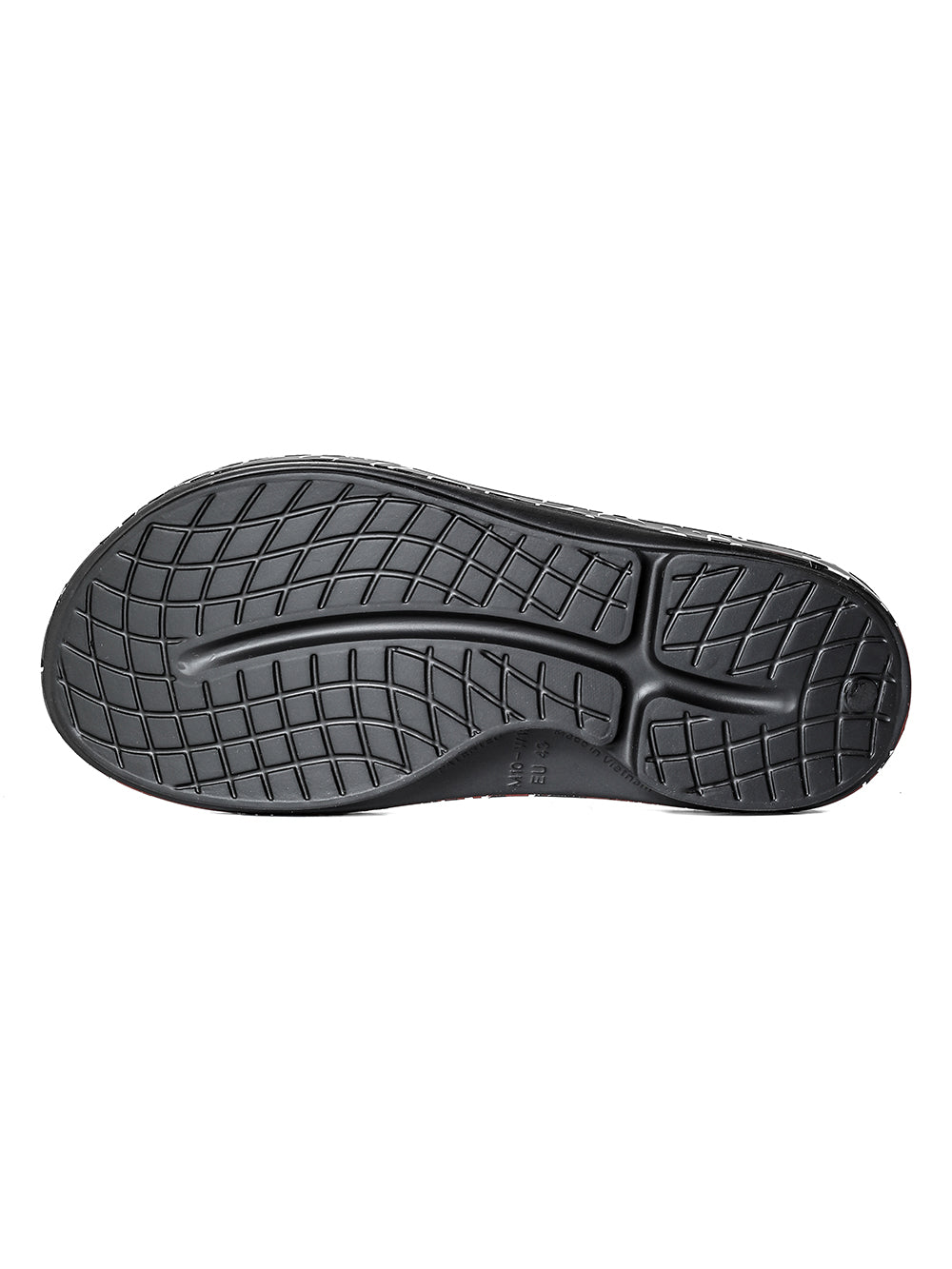 flip-flop.(leopard)