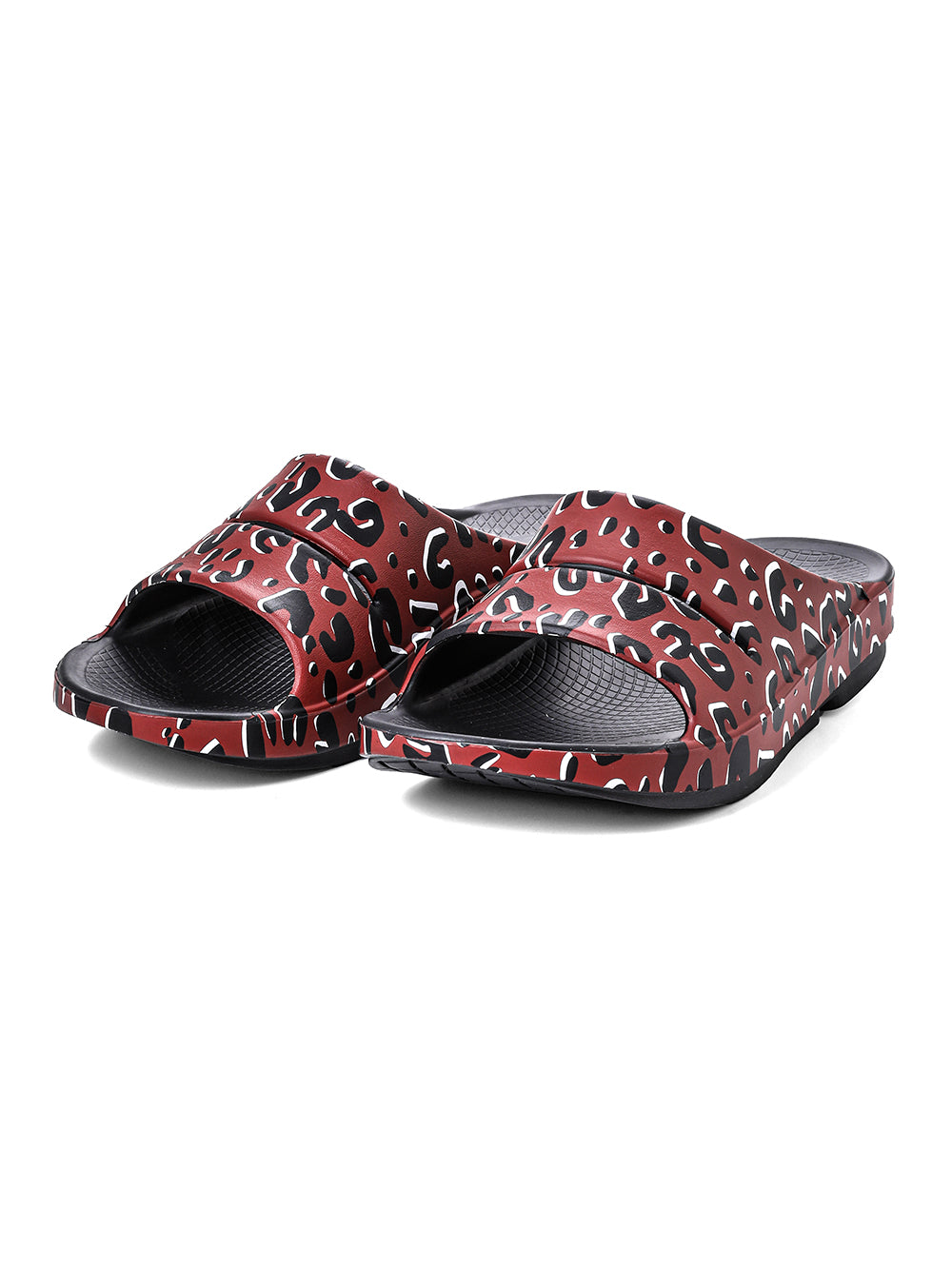slider.(leopard)