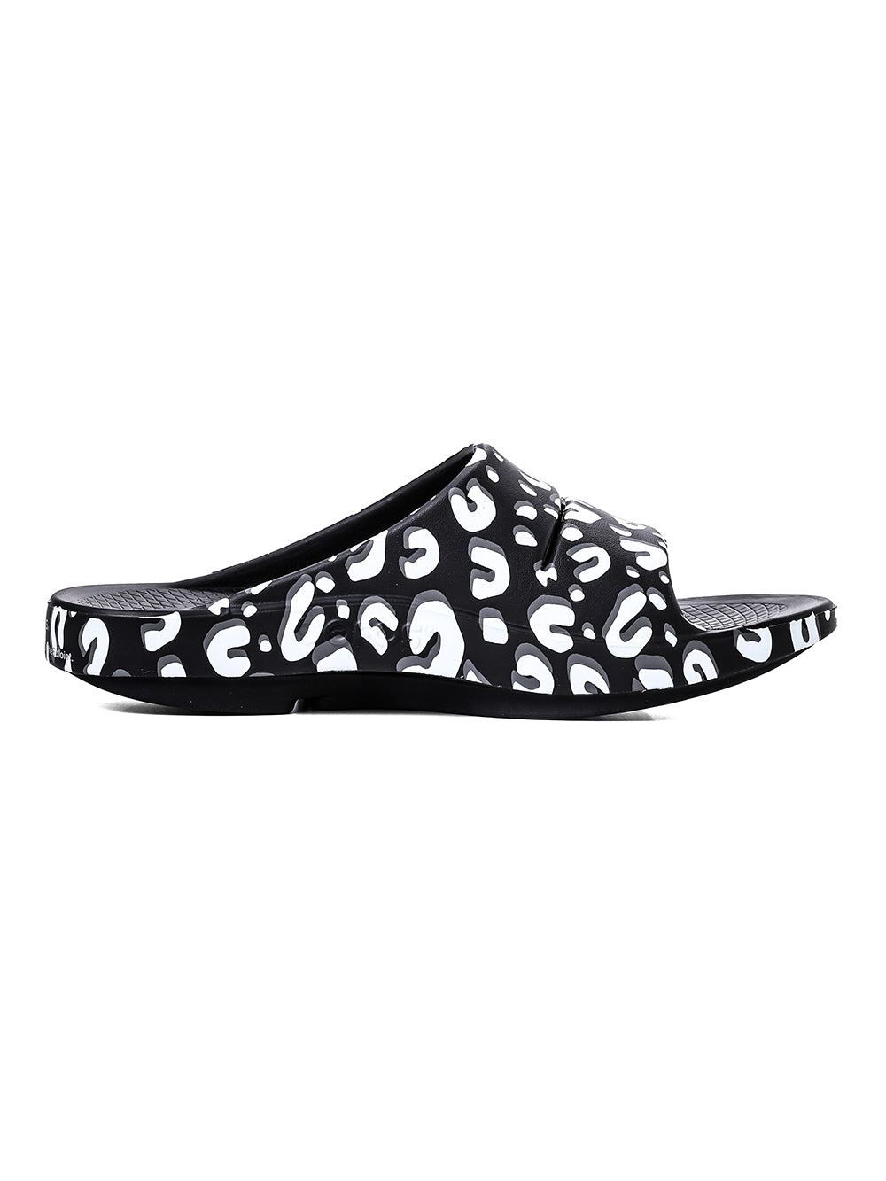 slider.(leopard)