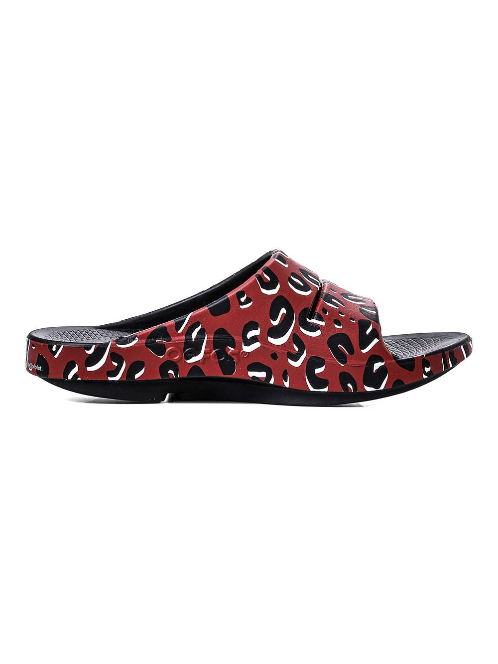 slider.(leopard)
