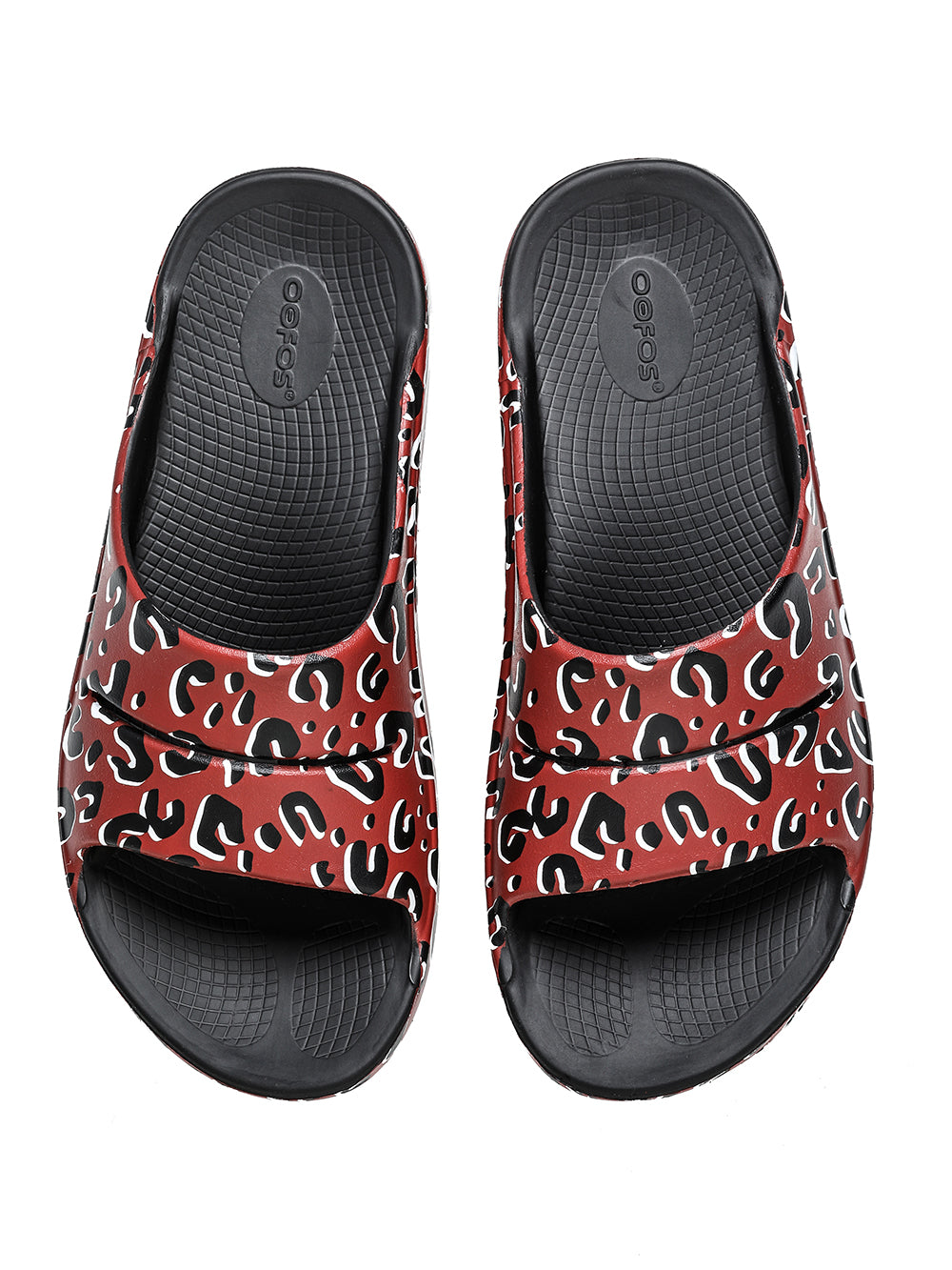 slider.(leopard)