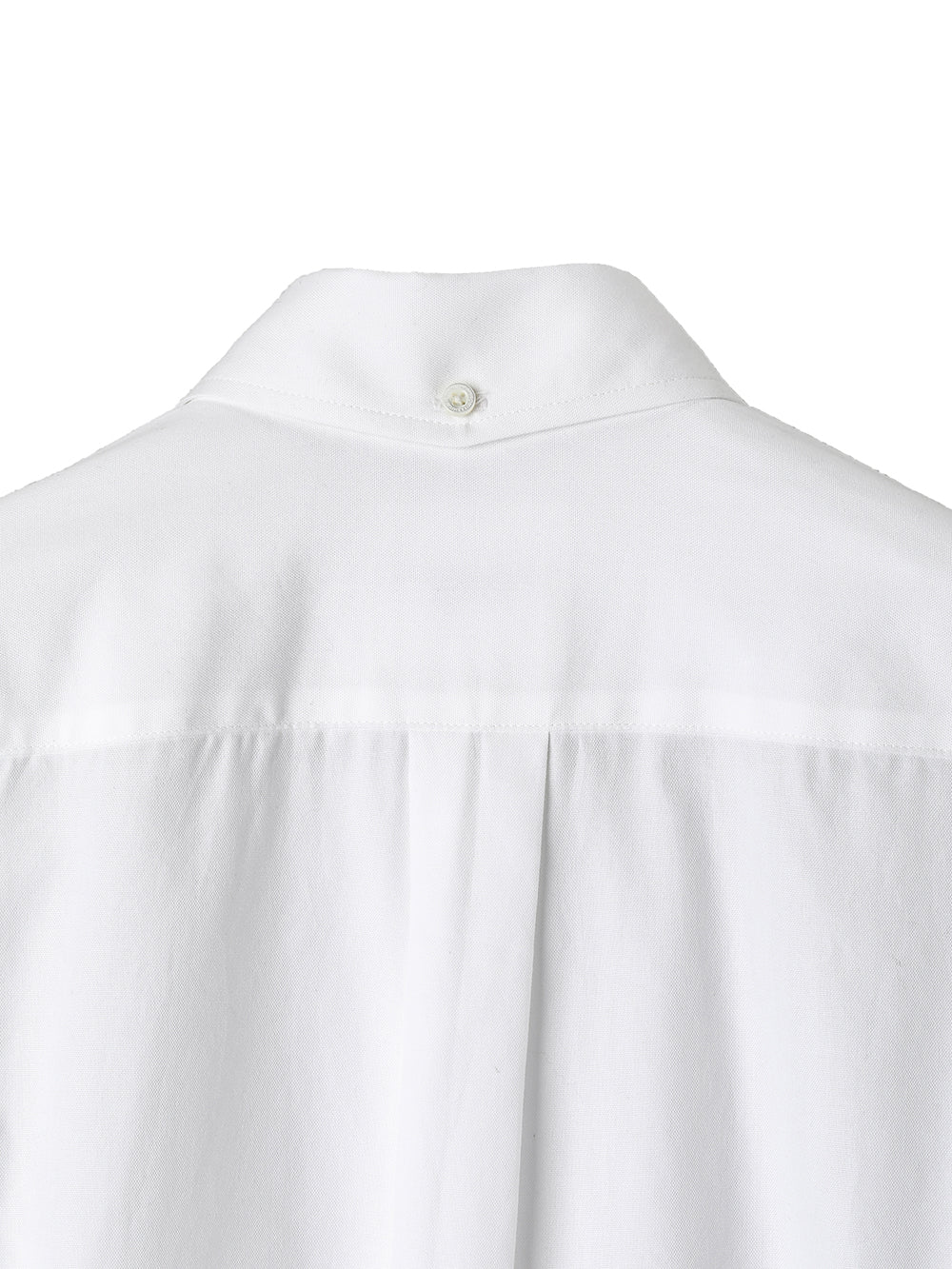 button down collar shirt.